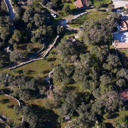Quinta Dos Canteiros Fátima Eksteriør billede